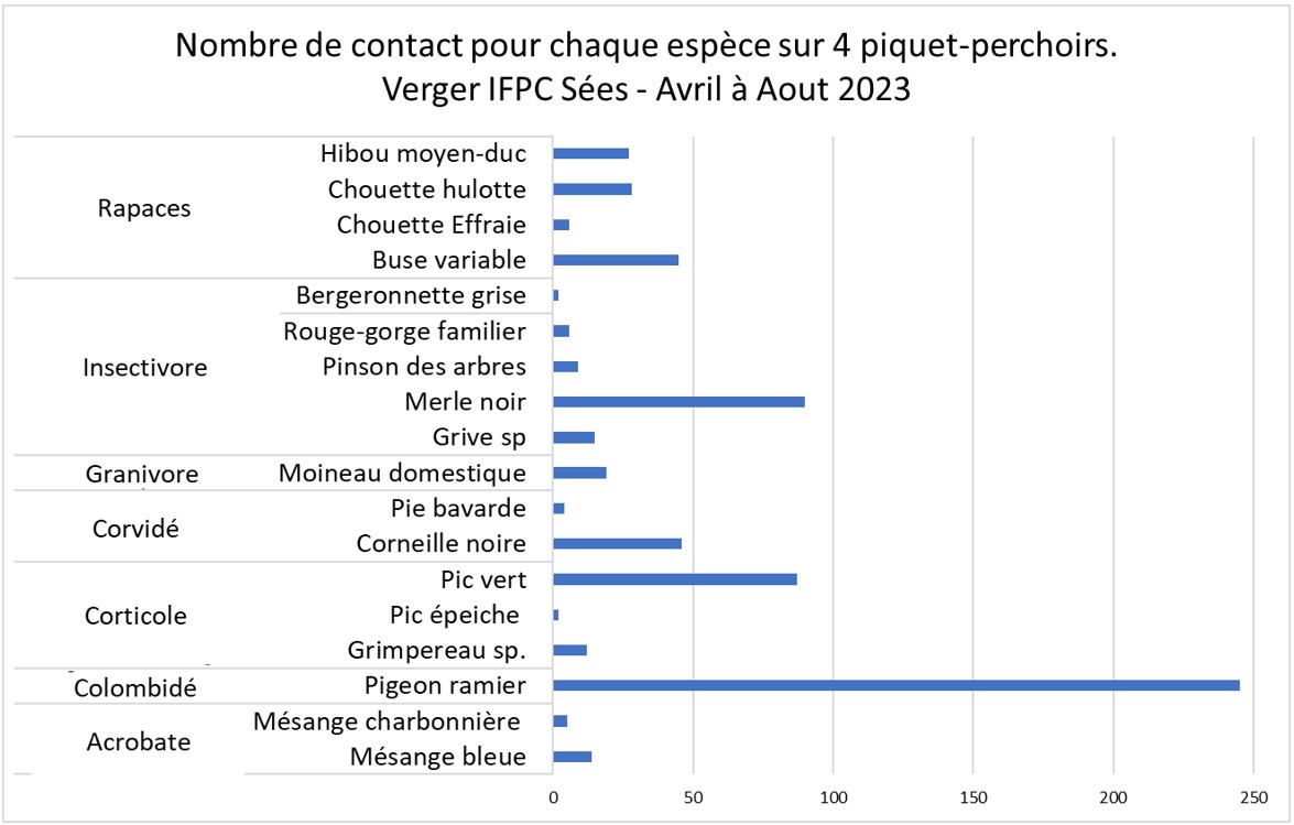Graphique oiseaux Sées