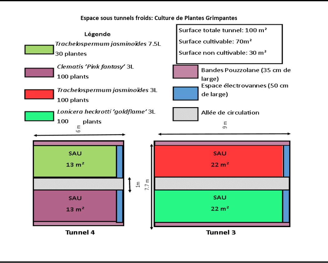 Tunnel froid de la gamme Plantes Grimpantes