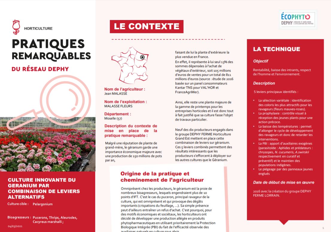 fiche