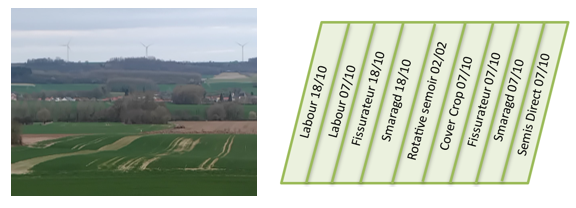 Photo et plan de l’essai gestion du vulpin 2023-2024.