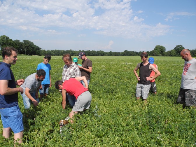 Groupe d'agriculteurs DEPHY dans un champ