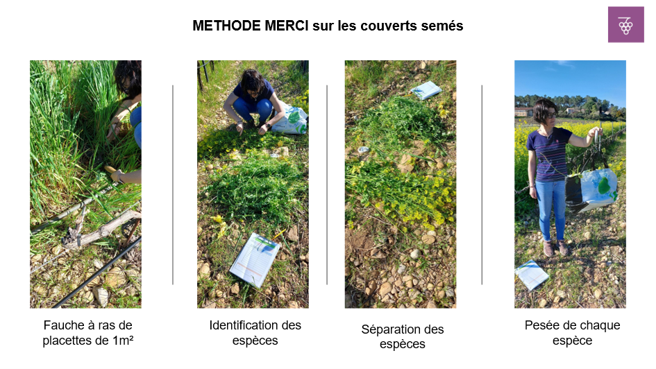 methode MERCI
