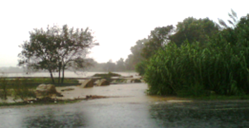 Image d'une inondation sur le site de Mauguio