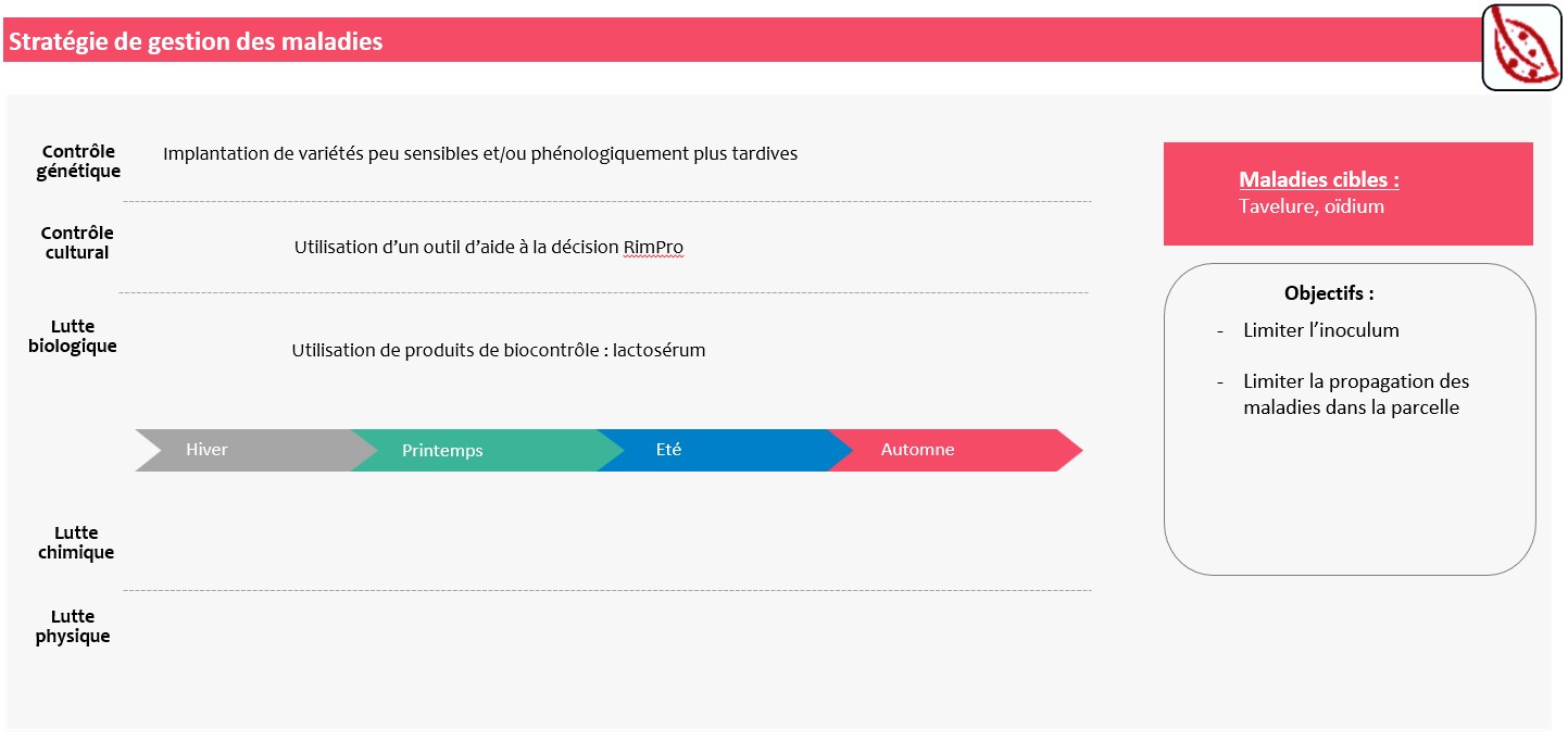 Schéma décisionnel stratégie de gestion des maladies