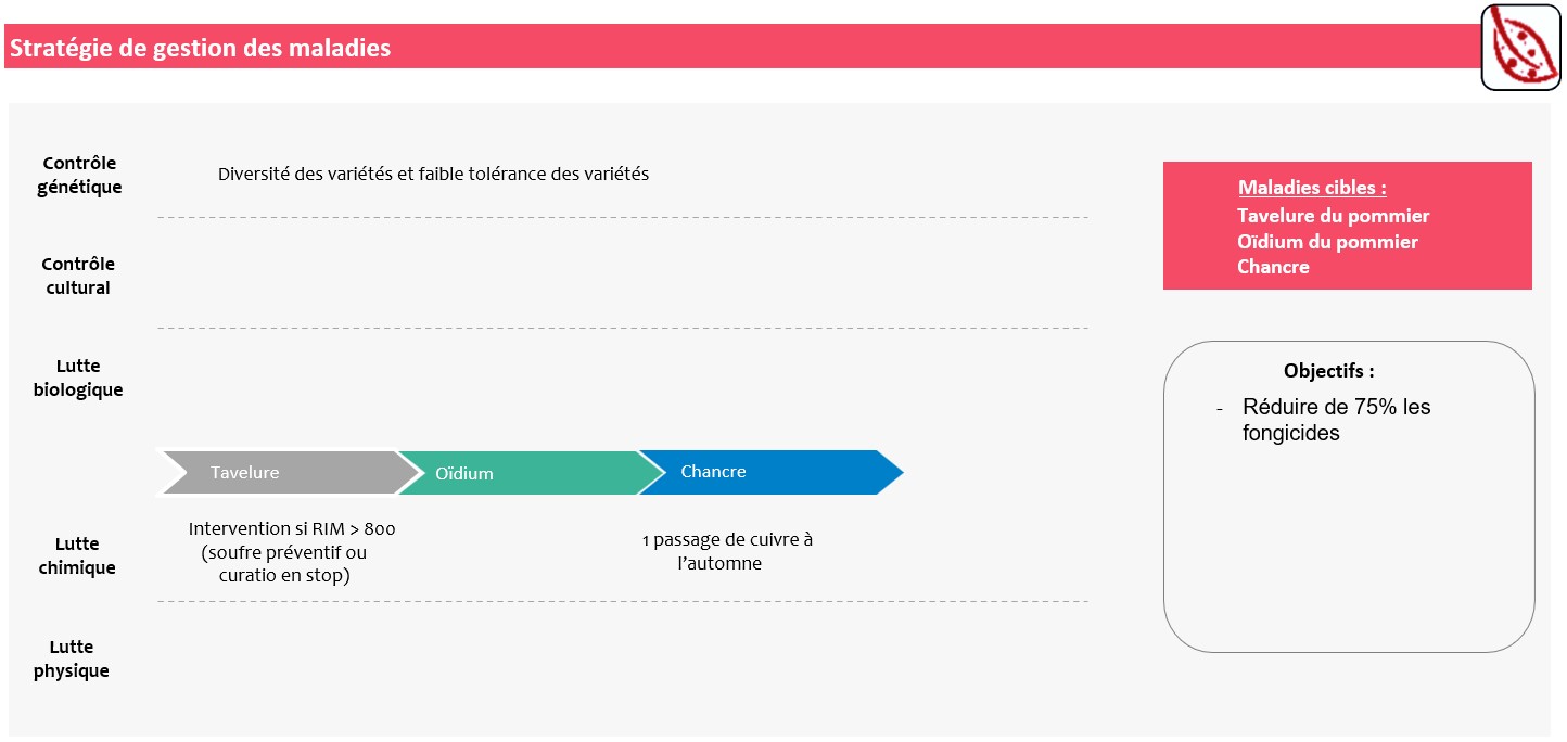 Schéma décisionnel stratégie de gestion des maladies