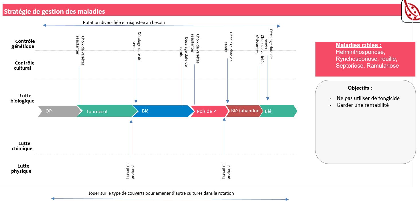 Schéma décisionnel Maladies 