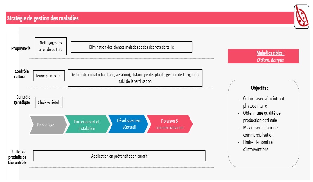 Schéma décisionnel maladies