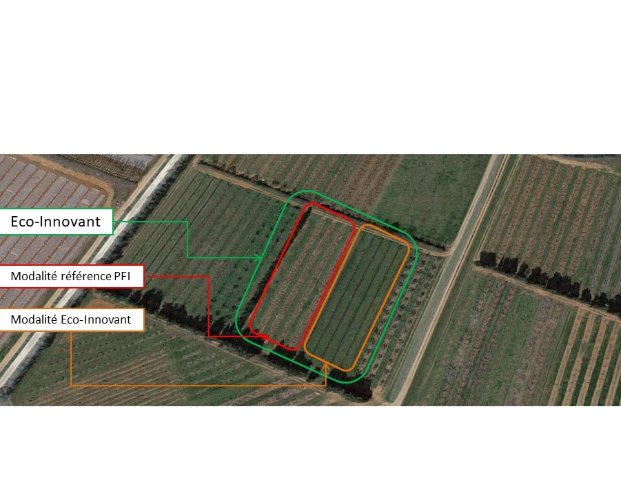 Dispositif Eco-pêche sur le Site de St-Gilles