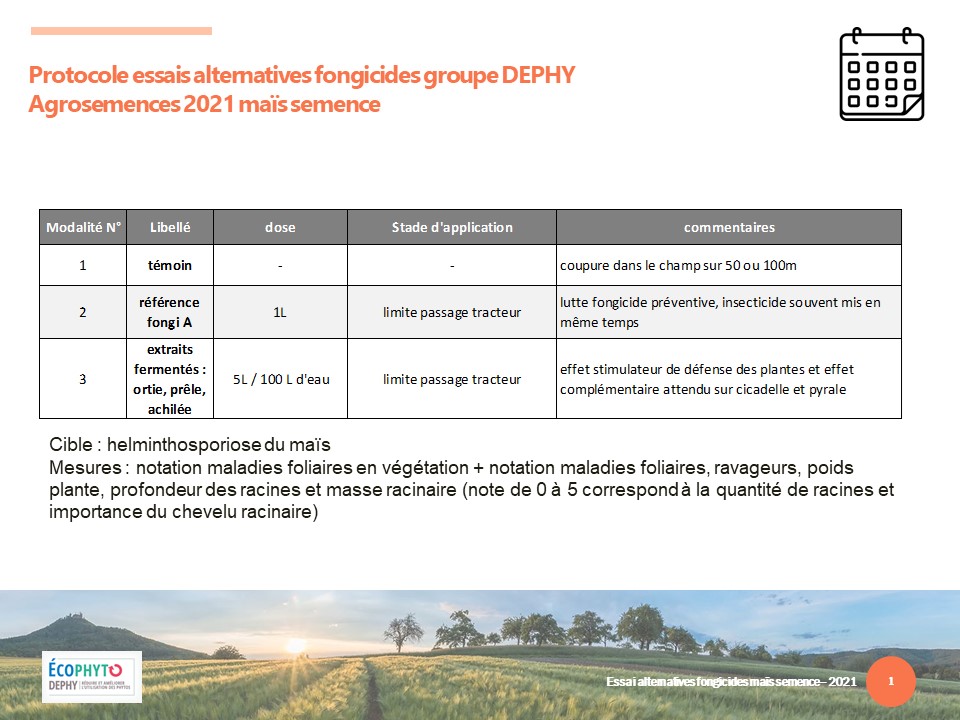 protocole essais alternatives aux fongicides en maïs semence 2021