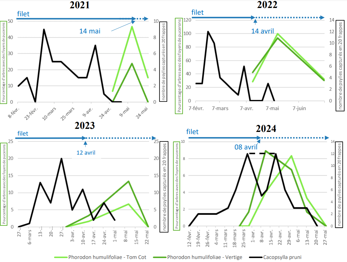 évolution de 2 ravageurs : le puceron Phorodon humulifoliae et le psylle Cacopsylla pruni. Chaque année, le pic d'évolution de la population du psylle est légèrement décalé par rapport à celui du puceron, laissant une fenêtre de temps pour ouvrir à mi-hauteur les filets