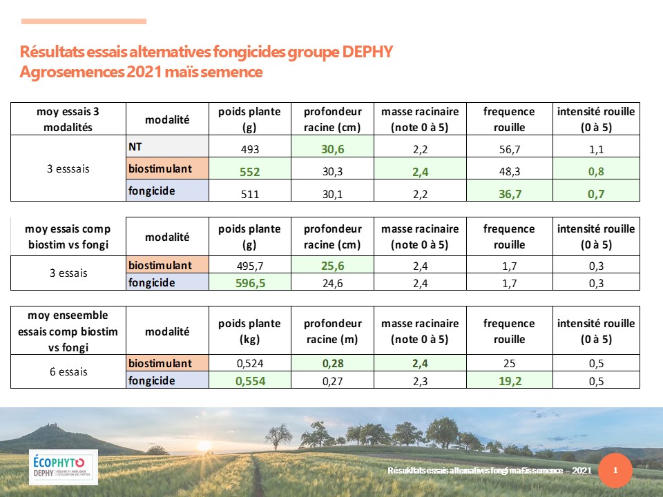 résultats des essais alternatives aux fongicides en maïs semence en 2021