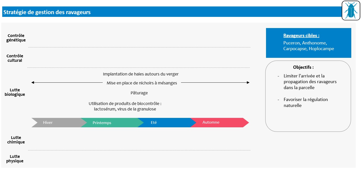 Schéma décisionnel stratégie de gestion des ravageurs