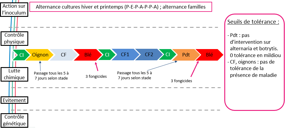 Schéma décisionnel de gestion des ravageurs