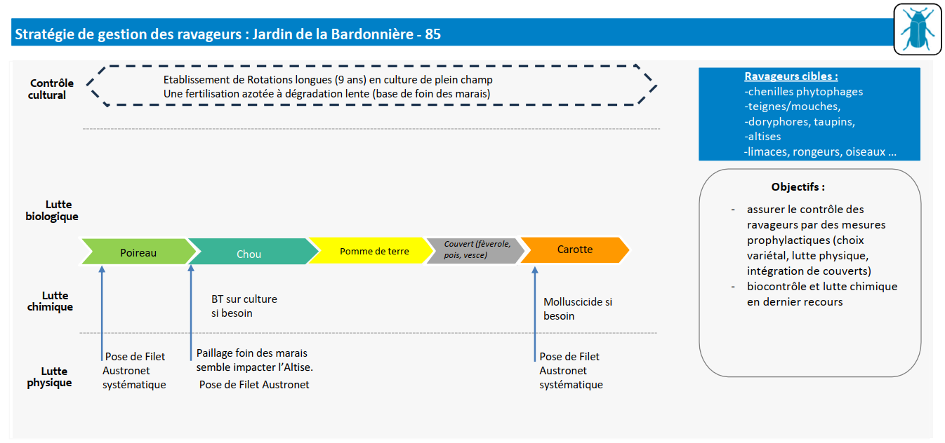 ravageur bardonnière
