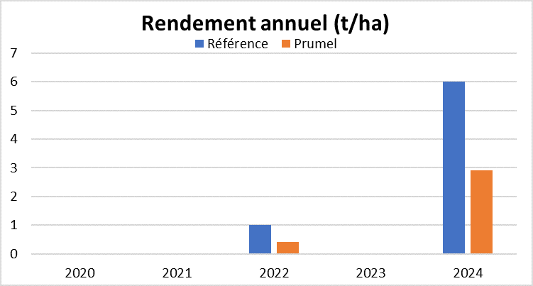 rendement
