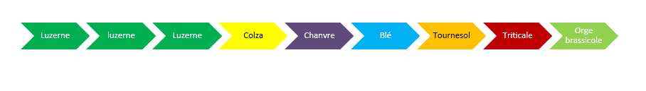 Succession culturale en aout 2024