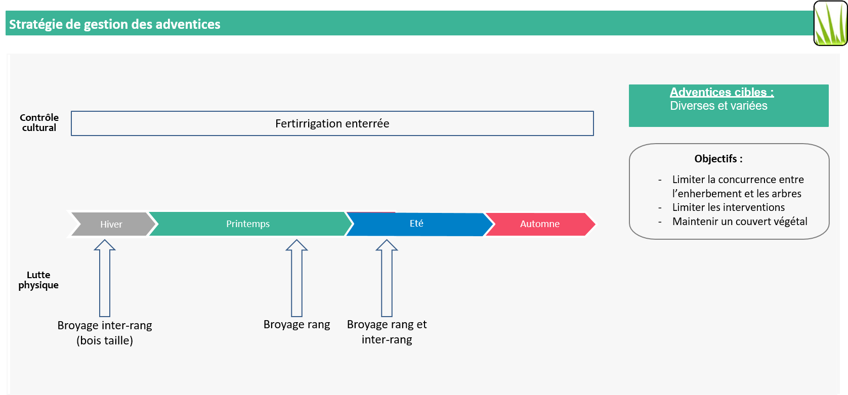 schéma gestion des adventices