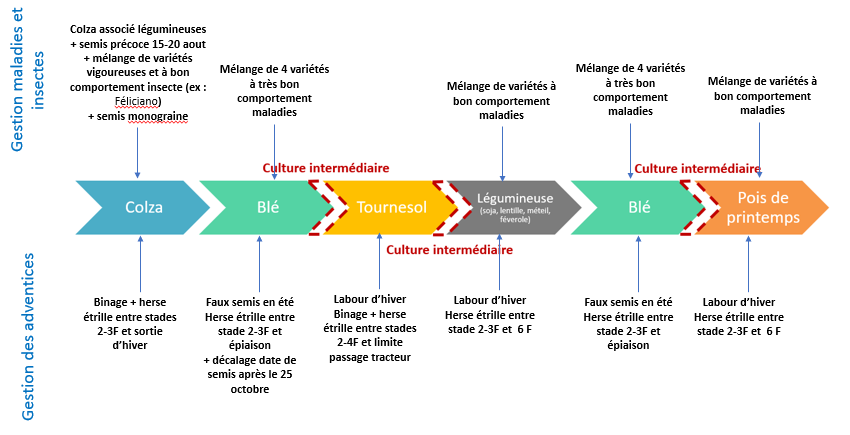 Schéma décisionnel