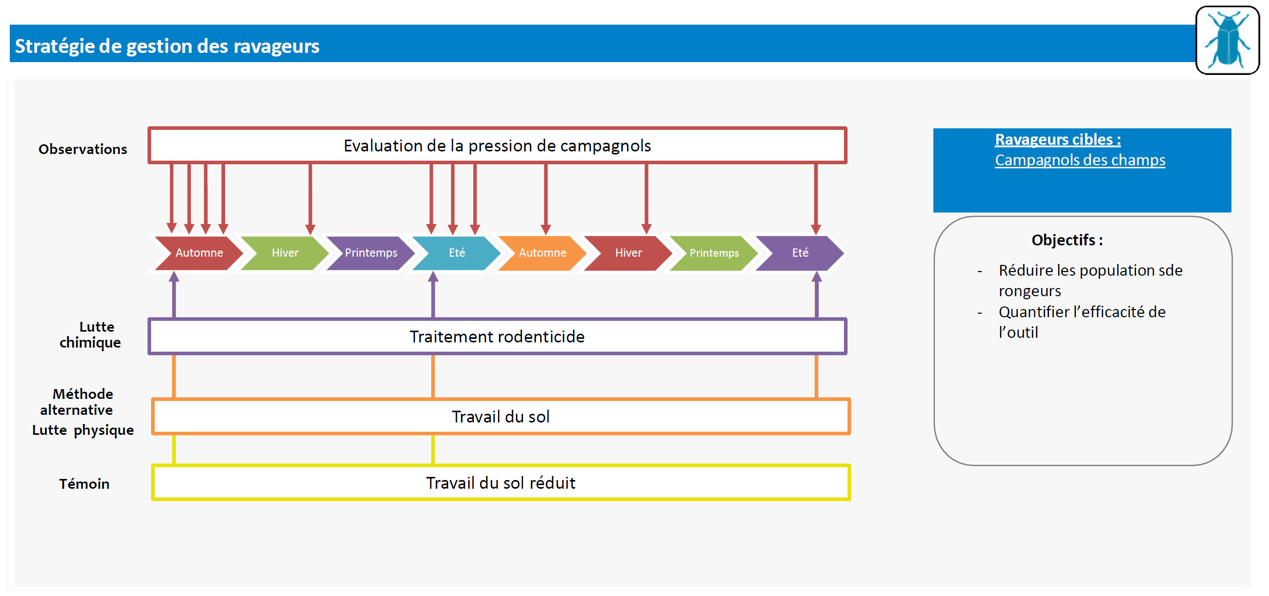 schéma_décisionnel_esnoms