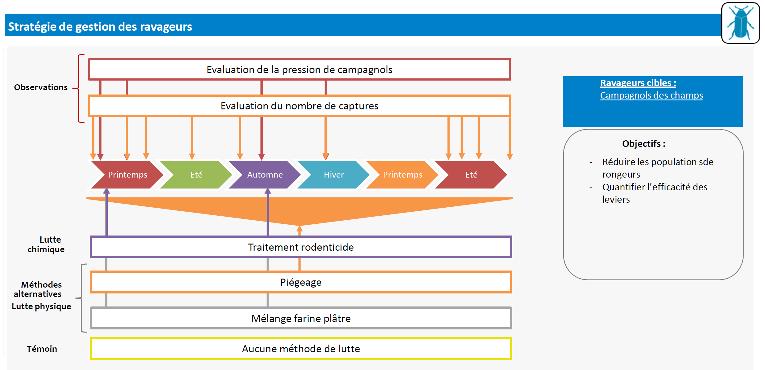 schema_decisionnel_marbeville