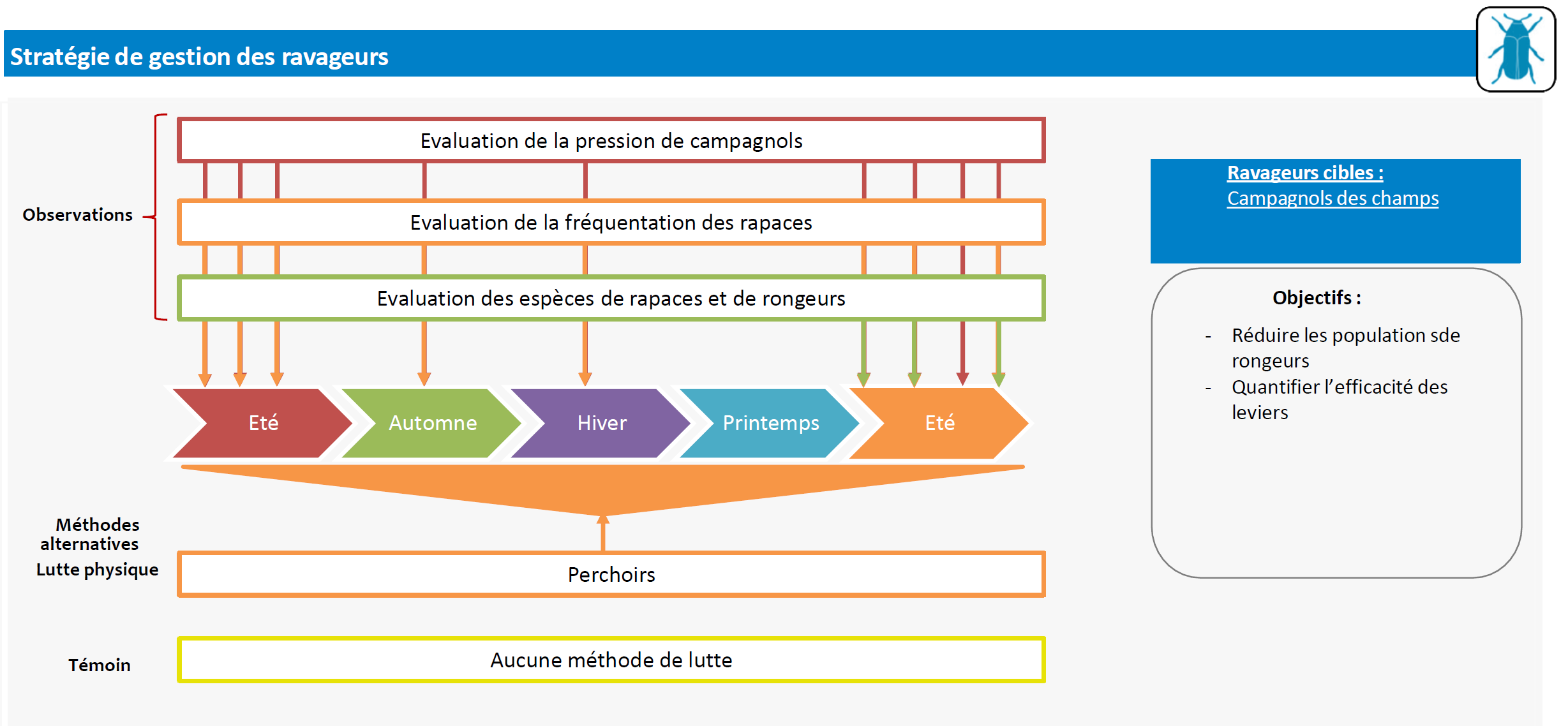 schema_decisionnel_mirbel