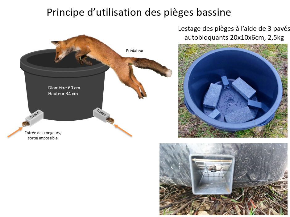 schema_pieges