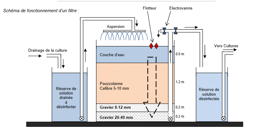 scéma filtration lente