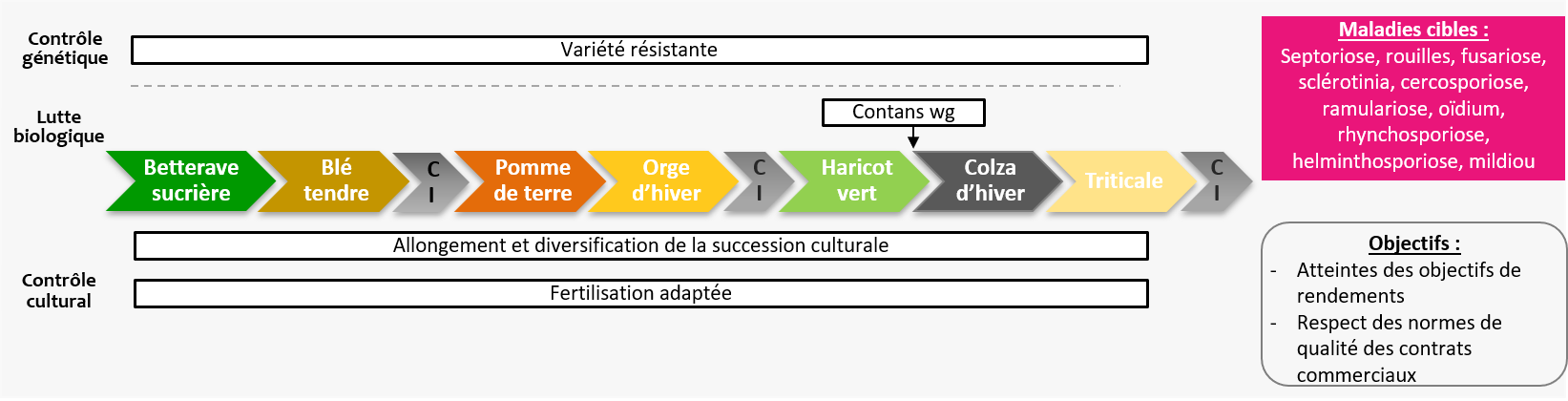 shéma décisionnel res0pest Estrées Mons maladies