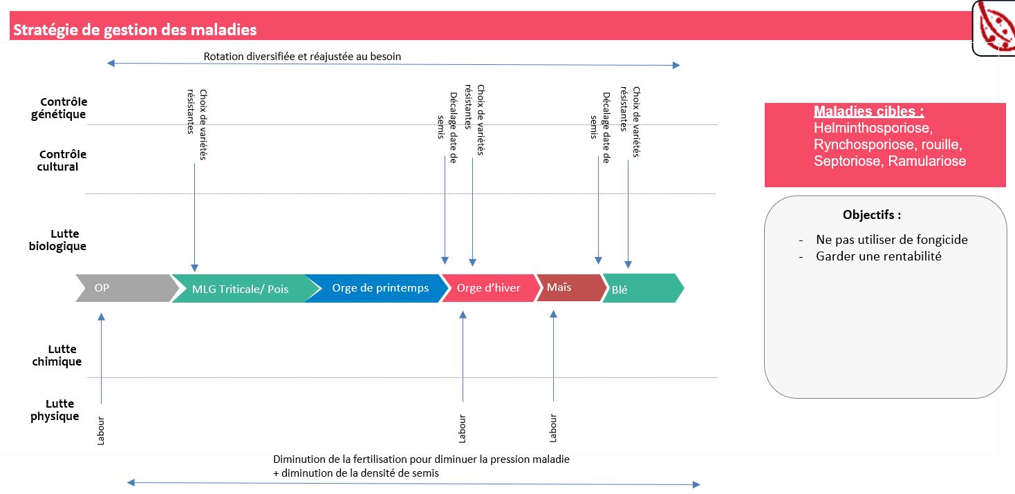 Stratégie de gestion des maladies 