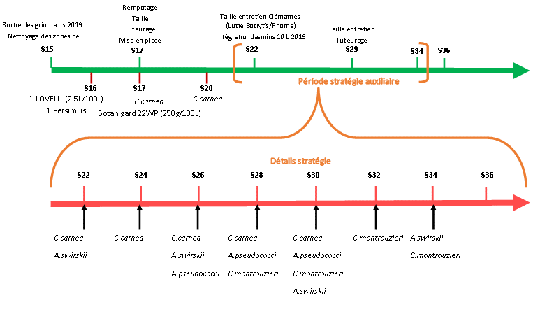 Stratégie PBI