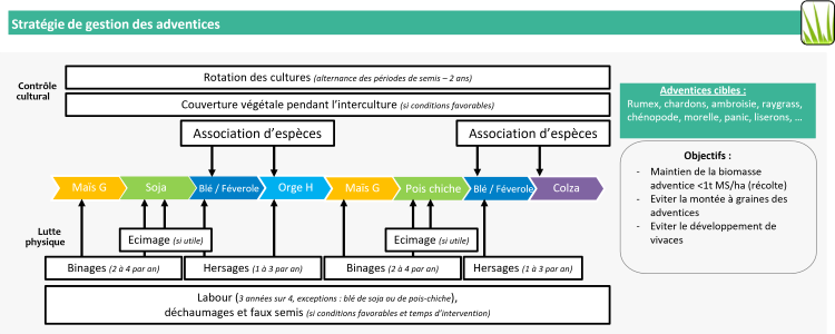 Leviers mobilisés pour réguler la flore adventice