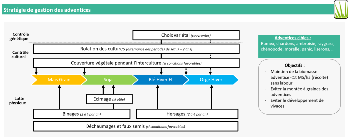 Leviers de gestion de la flore adventice (système fertilité)