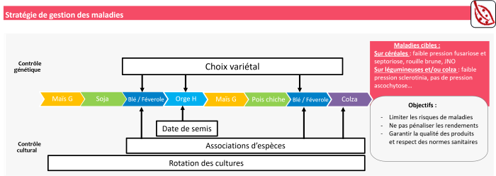 Principaux leviers pour la gestion des maladies (diversité)