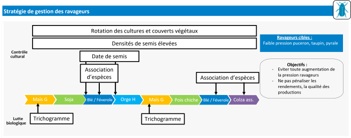 Leviers mobilisés pour limiter le développement des ravageurs