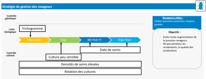 Stratégie de régulation des ravageurs système fertilité