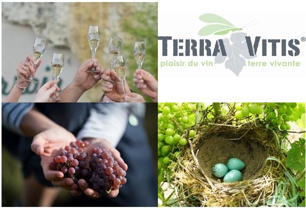 Terra Vitis : la triple performance