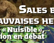 Sales bêtes ! Mauvaises herbes ! «Nuisible», une notion en débat