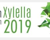 Xylella - conférence 2019