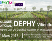 Colloque national DEPHY Viticulture: En marche vers une viticulture économe en phytosanitaires