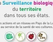 Colloque "La surveillance biologique du territoire dans tous ses états"