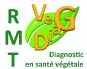 Séminaire sur le diagnostic en santé des végétaux