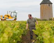 Questions/réponses : le dispositif des certificats d'économie de produits phytopharmaceutiques (CEPP)