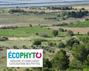 ecophyto recherche