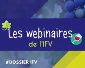 webinaires ifv