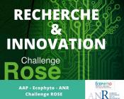 Webinaire de clôture du Challenge Rose