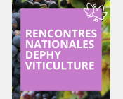 Rencontres nationales DEPHY Viticulture