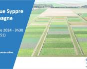 image de champ d'essai et texte "Colloque Syppre Champagne 24 octobre 2024"