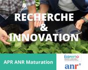 Journée Ecophyto Maturation 2024