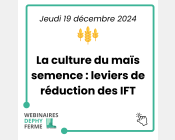 vignette épisode wdf 19/12