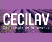 cecilav